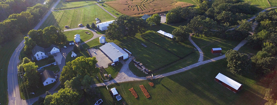 Overview of Dollinger Family Farm