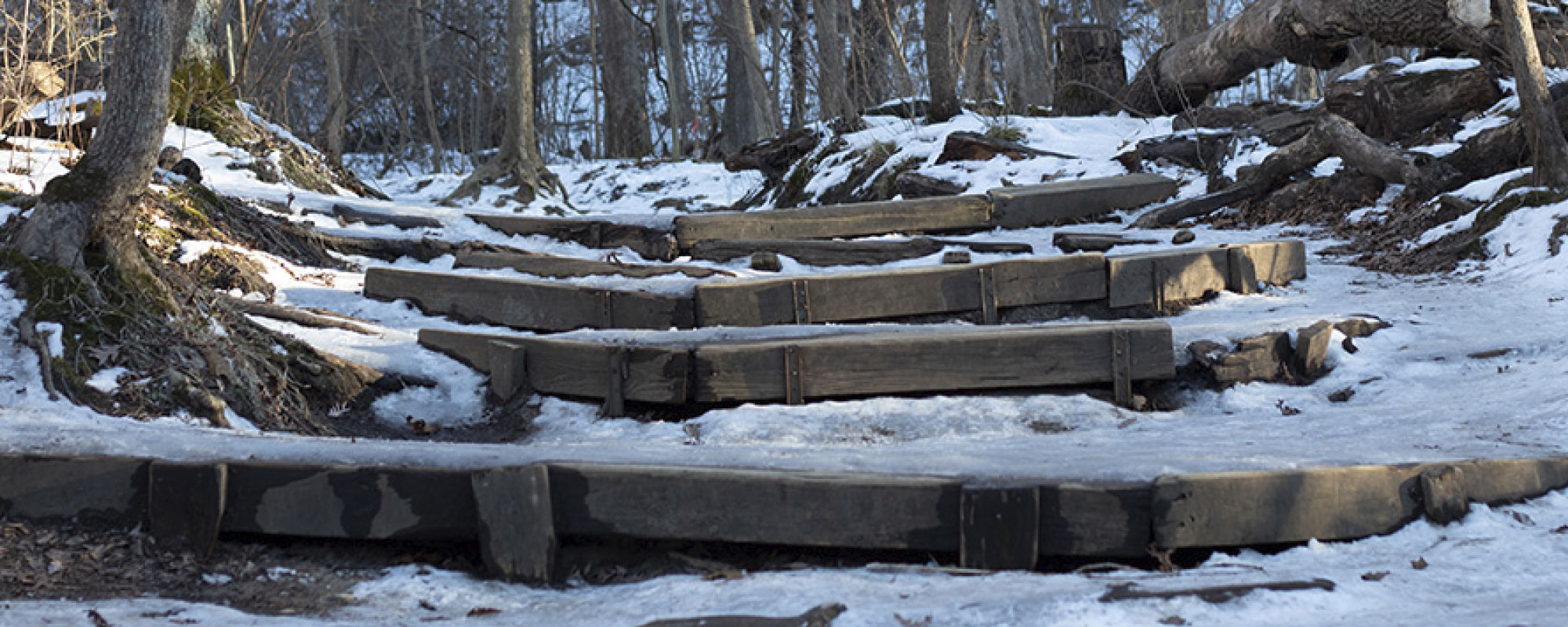 Starved Rock State Park Free Winter Programs 2022